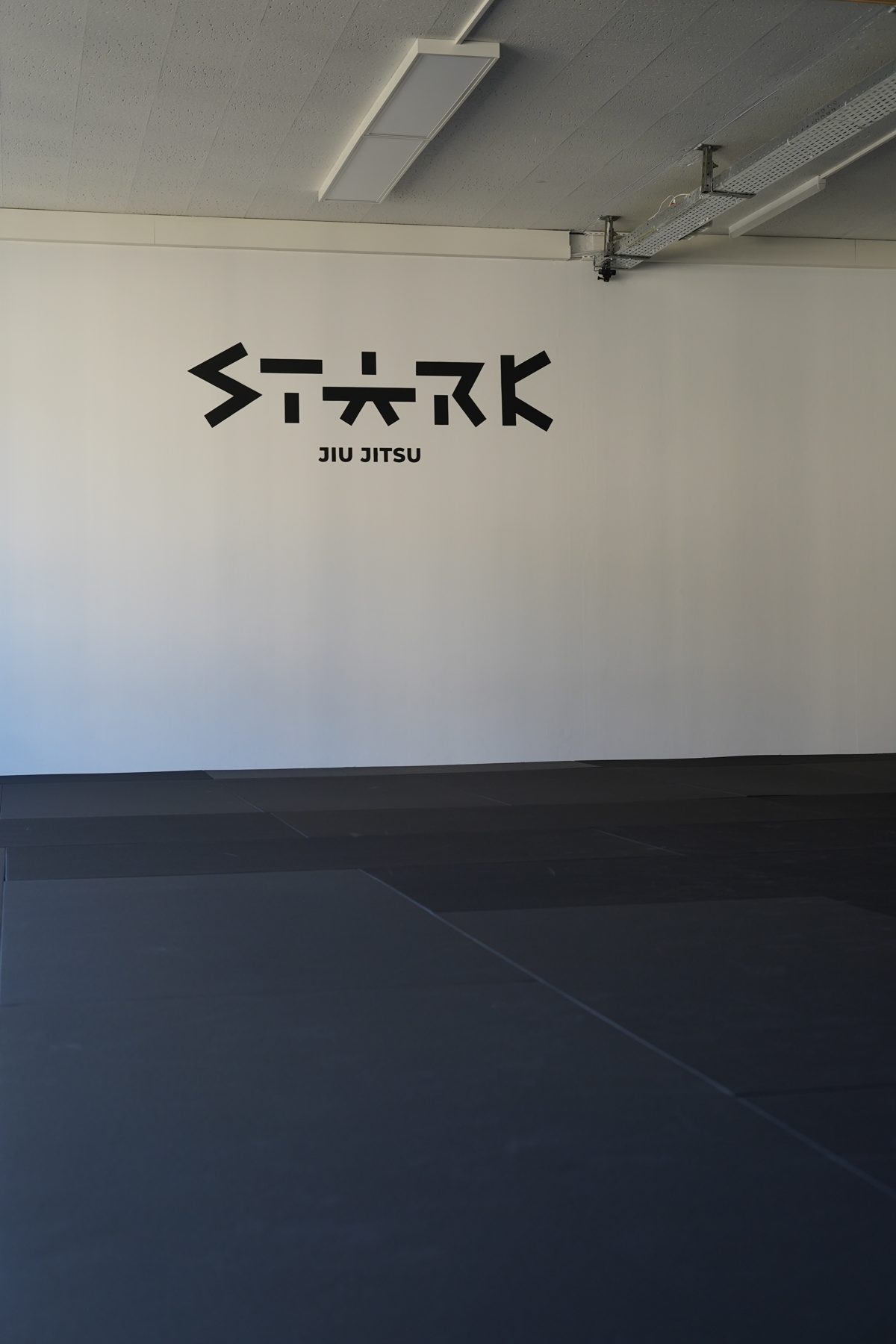 The Stark Jiu Jitsu mat room in Zürich